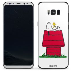 Snoopy and Woodstock Klassiek