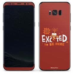 Foils for Smartphones matt