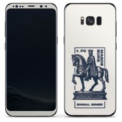 Folien für Smartphones matt