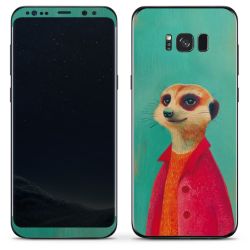 Foils for Smartphones matt