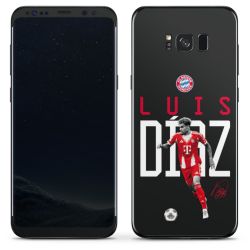 Foils for Smartphones matt