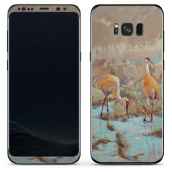 Foils for Smartphones matt