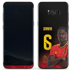 Foils for Smartphones matt