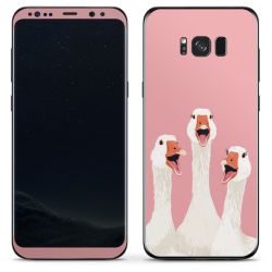 Foils for Smartphones matt