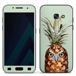 Hibou de l'ananas
