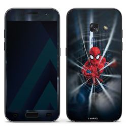 Toile Spider-Man