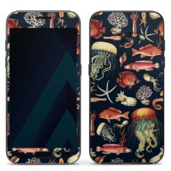 Foils for Smartphones matt