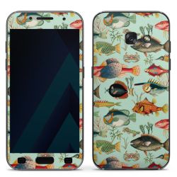 Foils for Smartphones matt