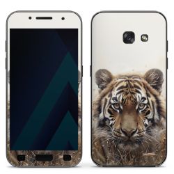 Folier Telefoner måtten