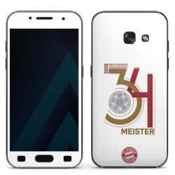 Foils for Smartphones matt