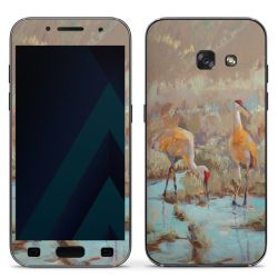 Foils for Smartphones matt