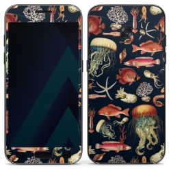 Foils for Smartphones matt