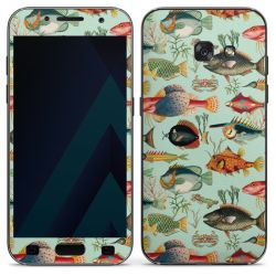 Foils for Smartphones matt