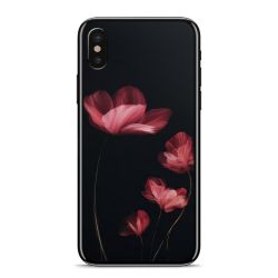 Foils for Smartphones matt