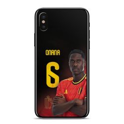 Foils for Smartphones matt