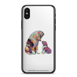 Foils for Smartphones matt