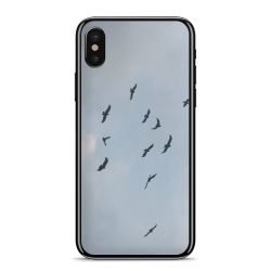 Foils for Smartphones matt