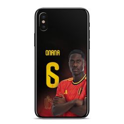 Foils for Smartphones matt