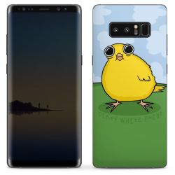 Folien für Smartphones matt