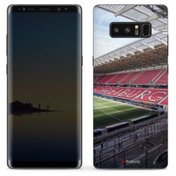 Folien für Smartphones matt