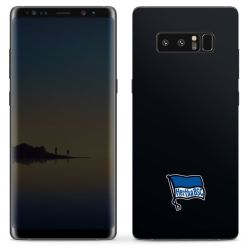 Folien für Smartphones matt