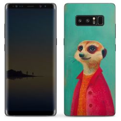 Foils for Smartphones matt