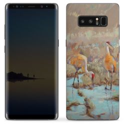 Foils for Smartphones matt