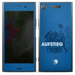 Folien für Smartphones matt