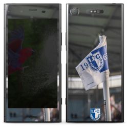 Folien für Smartphones matt