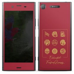 Foils for Smartphones matt