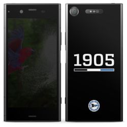 Folien für Smartphones matt