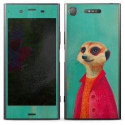 Foils for Smartphones matt