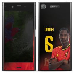 Foils for Smartphones matt