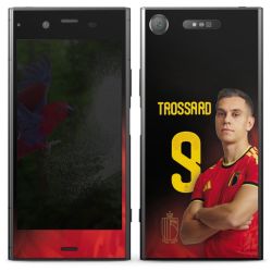 Foils for Smartphones matt