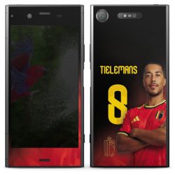 Foils for Smartphones matt