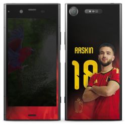 Foils for Smartphones matt