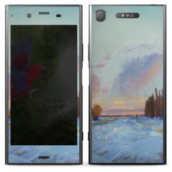 Foils for Smartphones matt