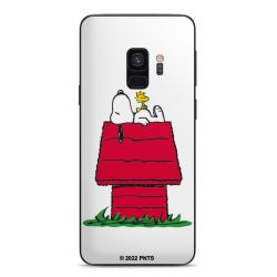 Snoopy and Woodstock Klassisch