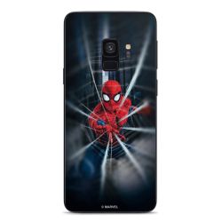 Spider-Man Webs In Action