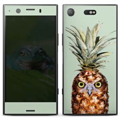 Hibou de l'ananas