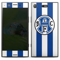 Folien für Smartphones matt