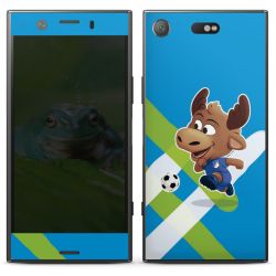 Folien für Smartphones matt