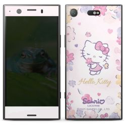 Folien für Smartphones matt