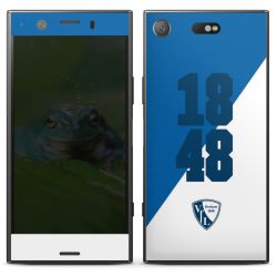 Folien für Smartphones matt