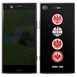 Folien für Smartphones matt