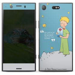 Folien für Smartphones matt