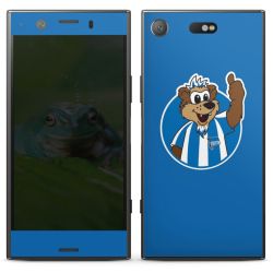 Folien für Smartphones matt