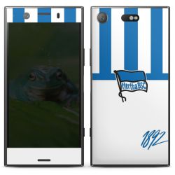 Folien für Smartphones matt