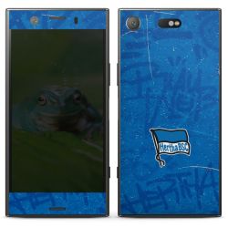 Folien für Smartphones matt