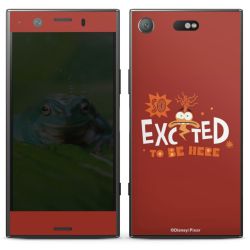 Foils for Smartphones matt